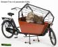 Preview: Bakfiets E-Cargo Classic Long Steps für Hundetransport oder Kinder, individuell konfigurierbar